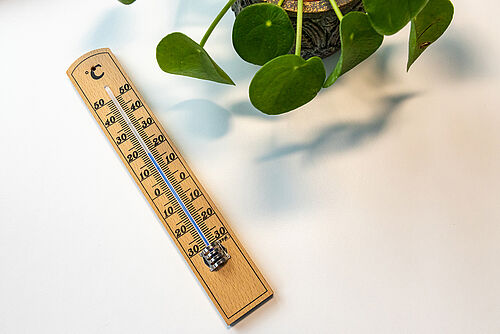Ein Holzthermometer zeigt 19 Grad Celsius an.