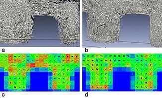 Fig 5: CT scan of a tooth connection without (a) and with (b) magnetic treatment; screen area analysis of the fiber orientation without (c) and with (d) magnetic alignment