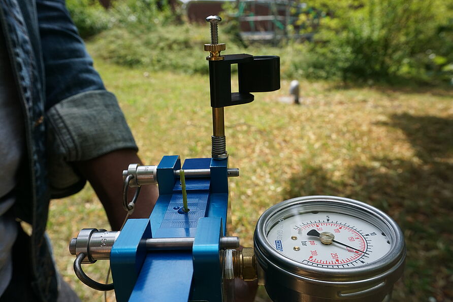 Messung des Wasserpotentials 