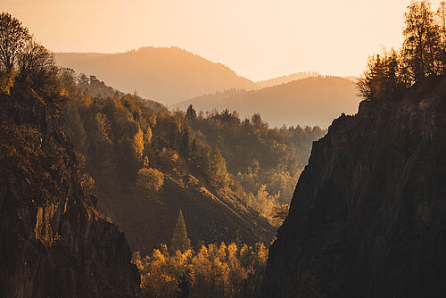 Wald im Harz im Sonnenaufgang.
