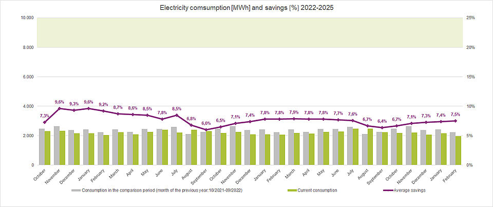 Electricity consumption and savings 2022-2025