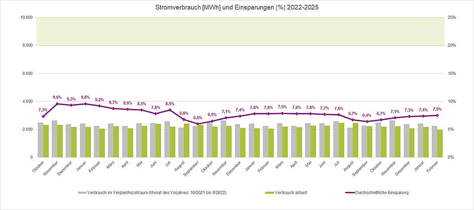 Stromverbrauch und Einsparungen 2022-2025