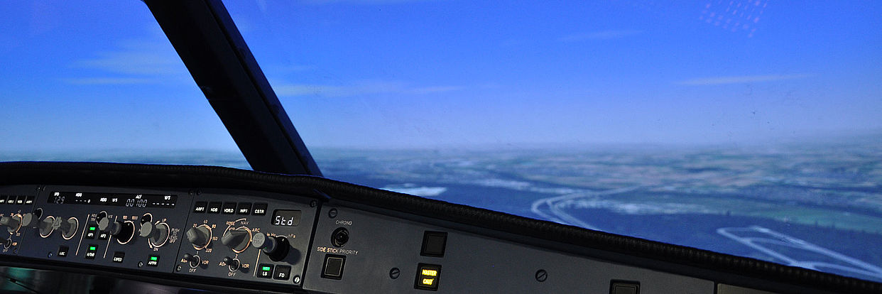 Flight Simulator „AVES“ 