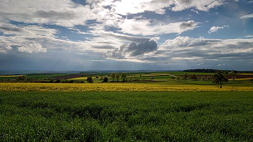 Agrarlandschaft