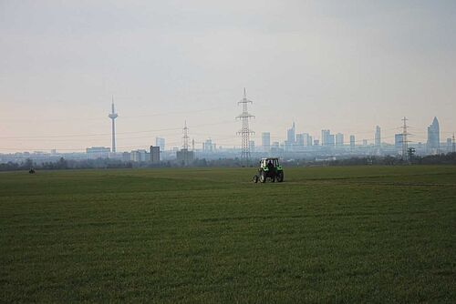 Frankfurt Niederurseler Hang