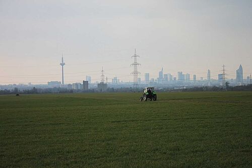 Frankfurt Niederurseler Hang