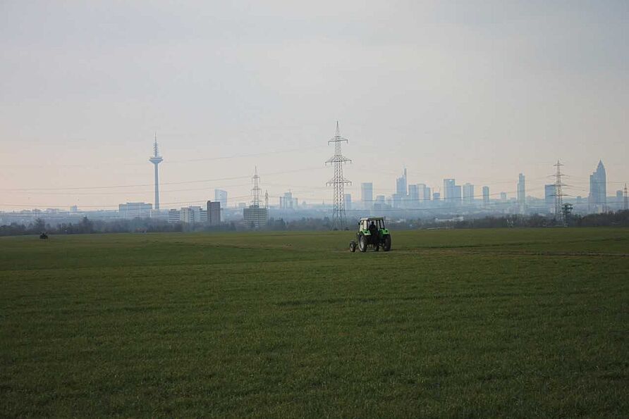 Frankfurt Niederurseler Hang