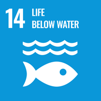 SDG 14 Leben unter Wasser