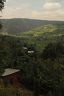 Ein tropisches Tal mit landwirtschaftlichen Feldern.