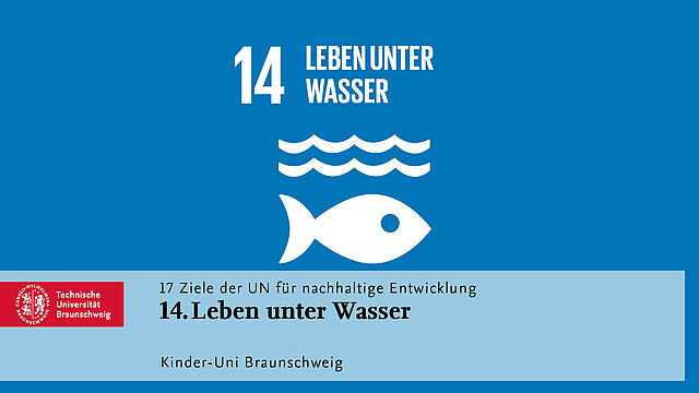 Ziel 14: Leben unter Wasser