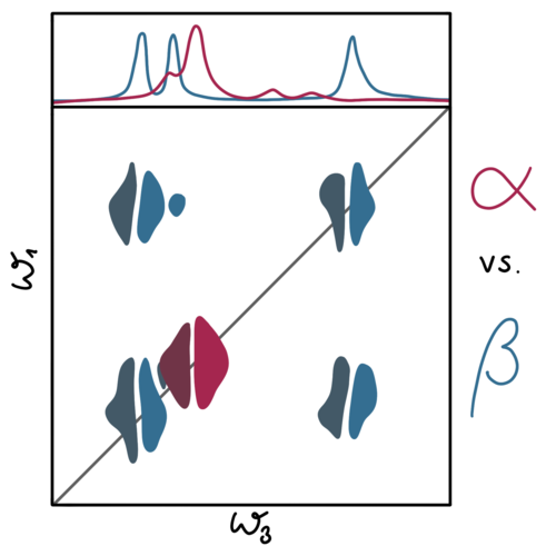 2D-IR cross-peaks