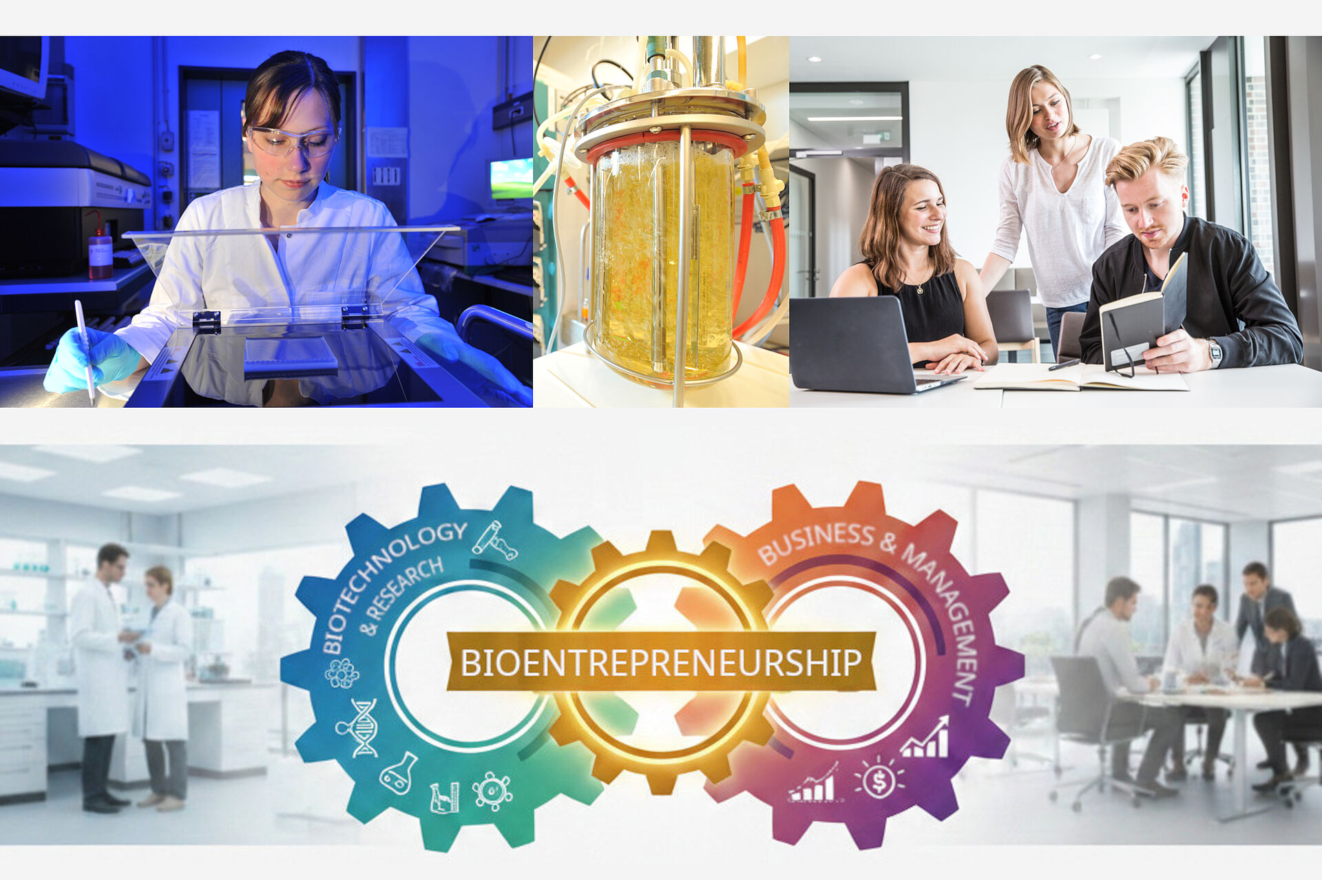 Bioentrepreneurship