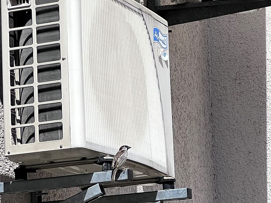 COABS Radexkursion Klimaanlage