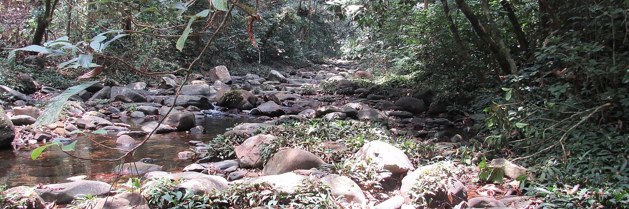 [Translate to English:]  