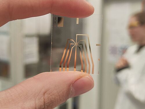 Mikrochip in der Hand