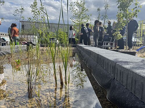 Schilfgarten“ als Living Lab am Campus Nord der TU Braunschweig