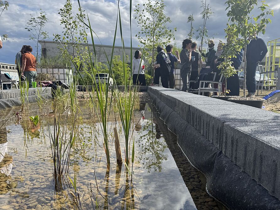 Schilfgarten“ als Living Lab am Campus Nord der TU Braunschweig