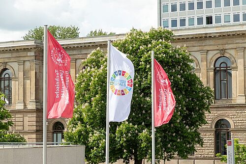 SDG Flagge 