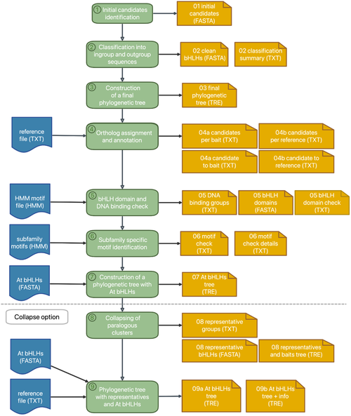 bHLH_annotator workflow