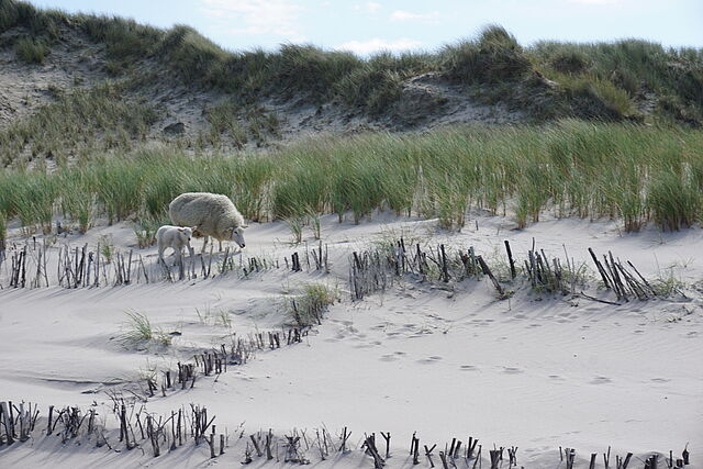 Bauen mit Sand