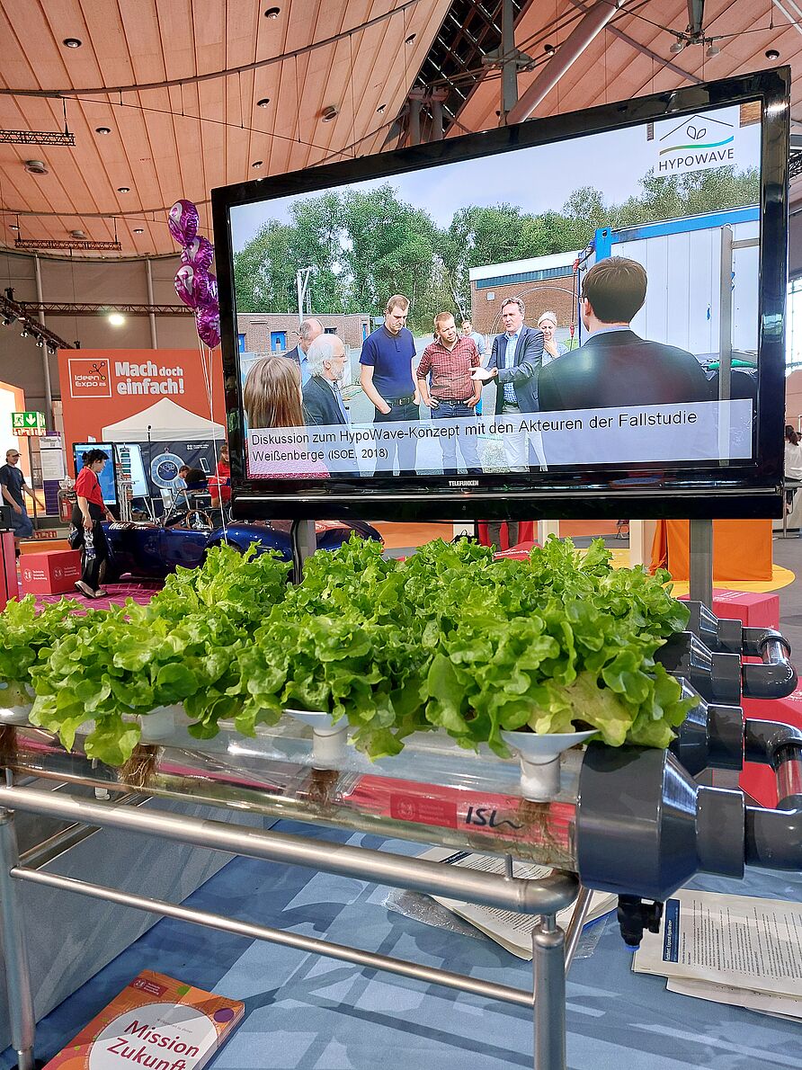 Wie Nährstoffe aus Abwässern in die Nahrungsmittelproduktion eingebunden werden können, zeigt das Projekt HypoWave