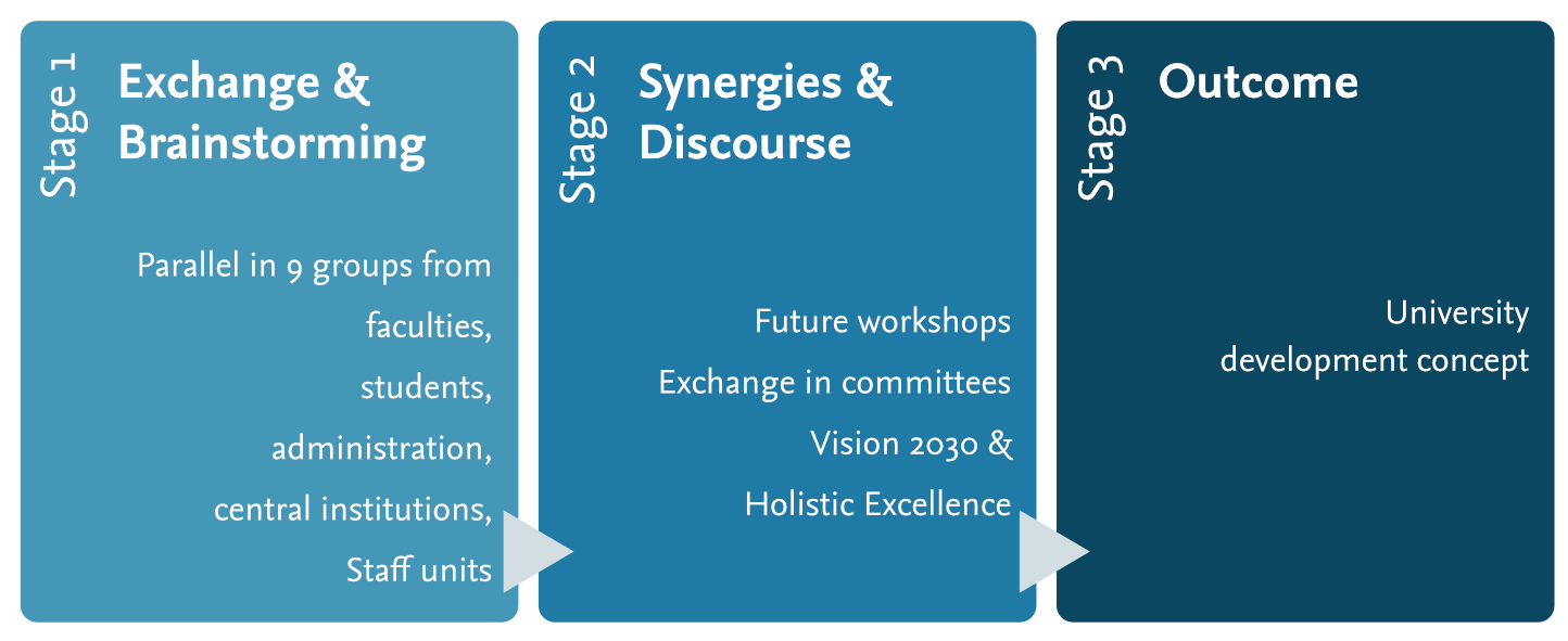 Scheme of the project phases
