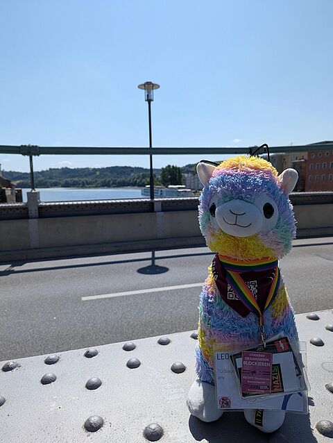 LEOnie auf einer Brücke