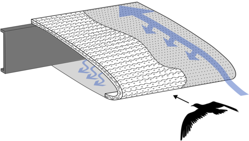 Leading edge for HLFC and bird strike resistance
