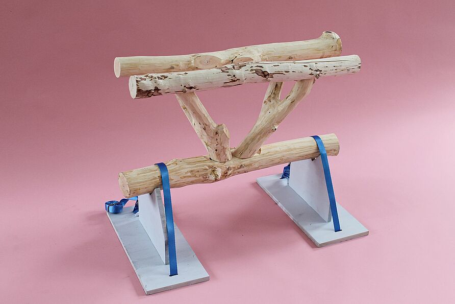 Robotic Timber Studio