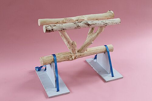 Robotic Timber Studio