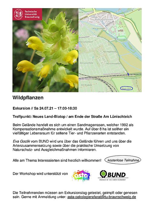 Wildpflanzen