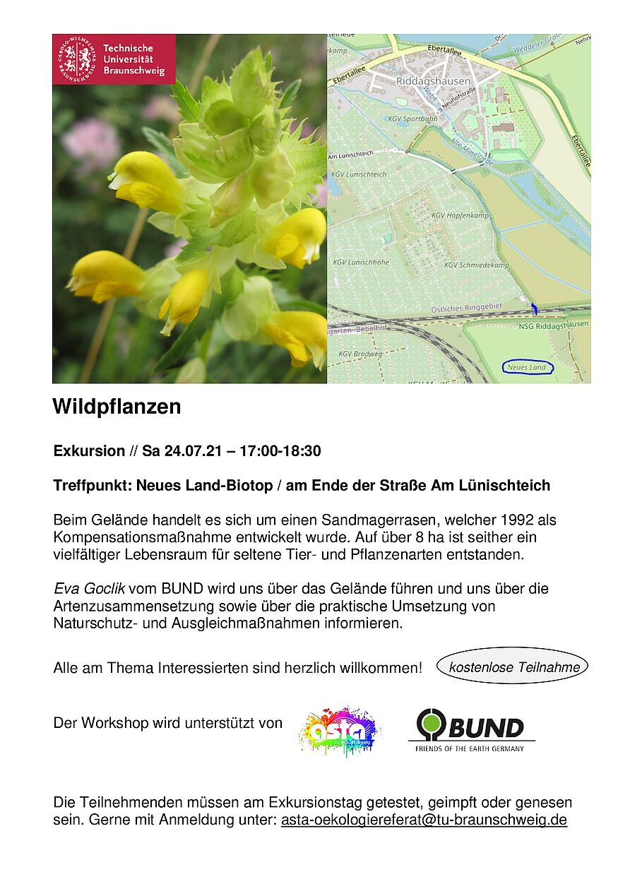 Wildpflanzen