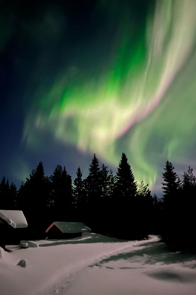 Polarlichter in Gällivare, Lappland.