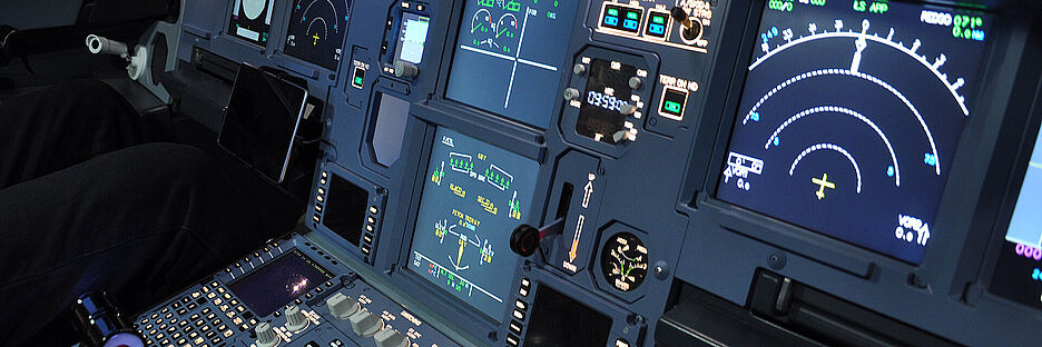 Flight Simulator „AVES“