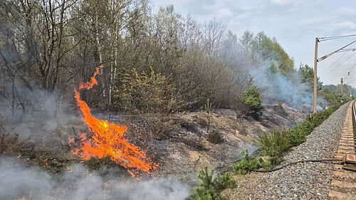 Böschungsbrand