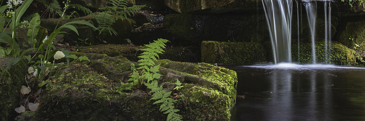 Teich im Botanischen Garten der TU Braunschweig 