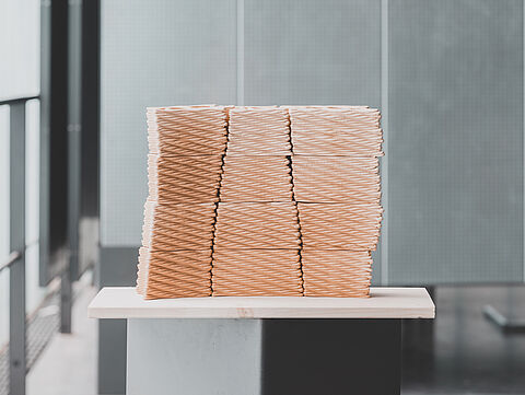 SoSe 23 - Earth Printing 1