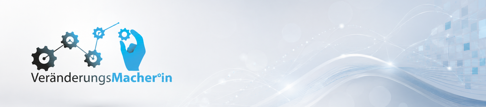 Banner VM