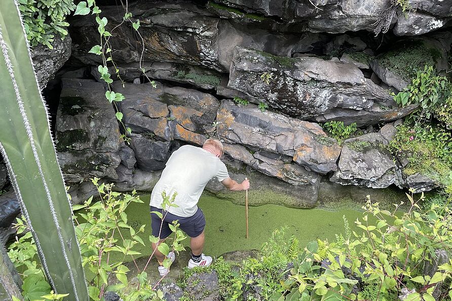 Voller Einsatz: Nicht ganz so früh am Morgen ziehen auch die Umweltnaturwissenschaftler*innen los. Am ersten Tag zum Beispiel in den Botanischen Garten der UNAM. Hier sollen Proben für die spätere Analyse von Wasserchemie, Sedimenten, und Biodiversität (Plankton, Benthos) genommen werden. Dazu verwenden wir verschiedene Netze und Fläschchen. Manchmal ist auch ganzer Körpereinsatz gefragt und wir steigen ins Wasser. Im Laufe des Nachmittages beenden wir die Arbeiten, sodass der wir den Abend mit leckerem mexikanischem Essen und Cervezas (Bier) ausklingen lassen können.