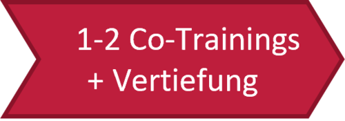 Co-Trainings + Vertiefung