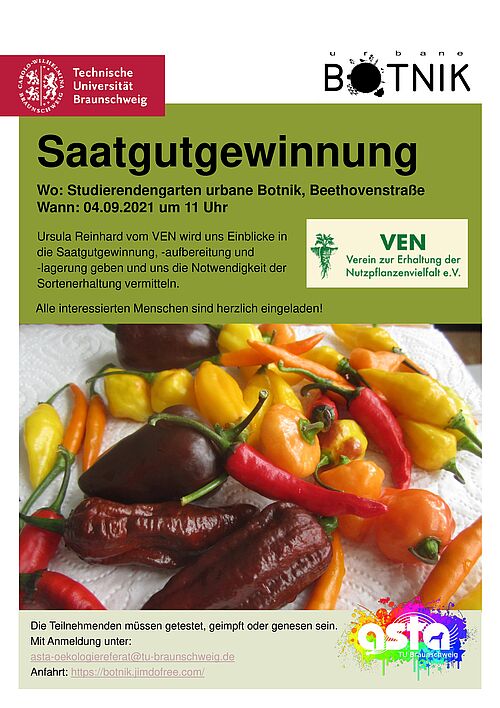 Saatgutgewinnung