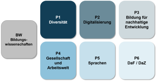 Profilmodule 1-Fach-Bachelor Erziehungswissenschaft