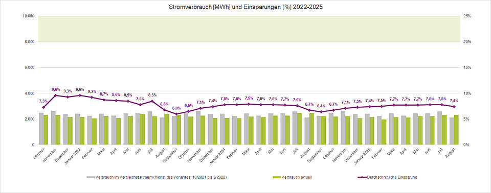 Stromverbrauch und Einsparungen 2022-2025