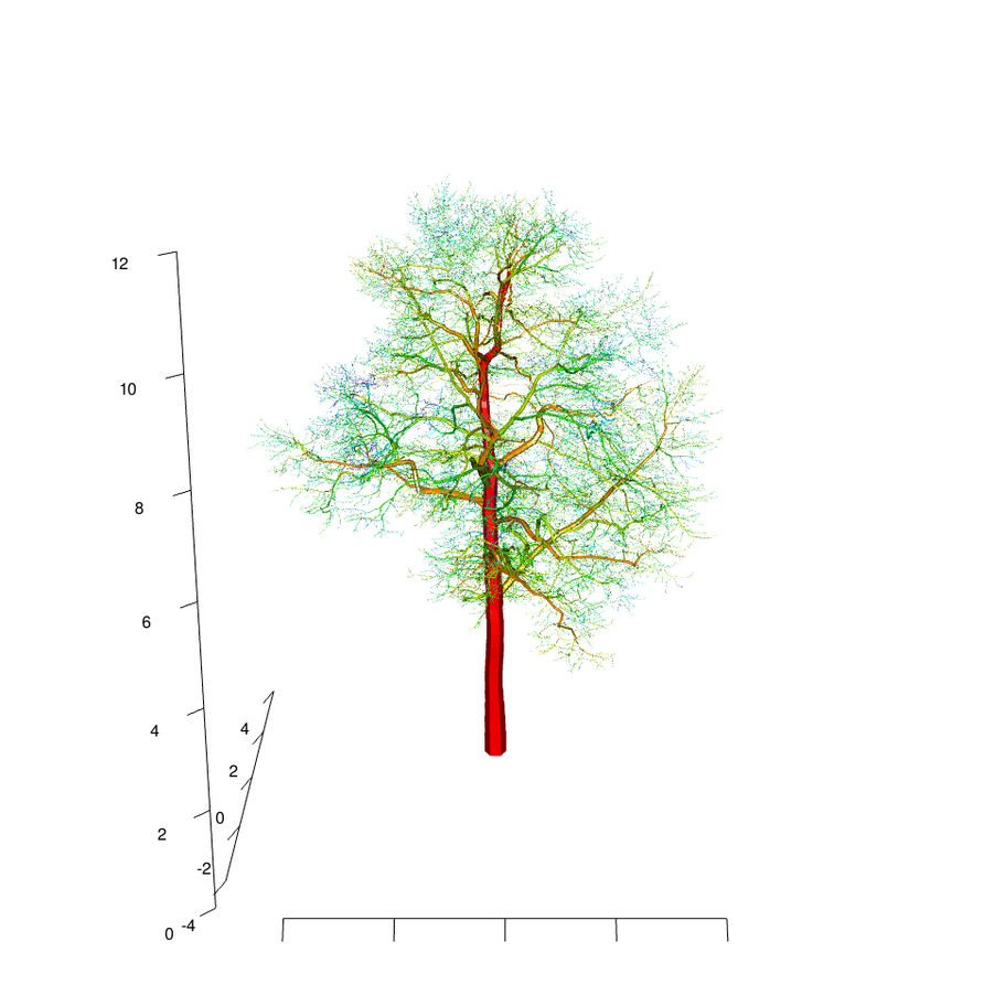 Laserscan einer Baumhasel
