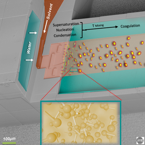 TaiediNejad, Drug Delivery