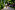 Campuslauf 2024