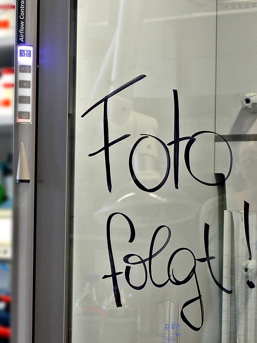 Foto folgt