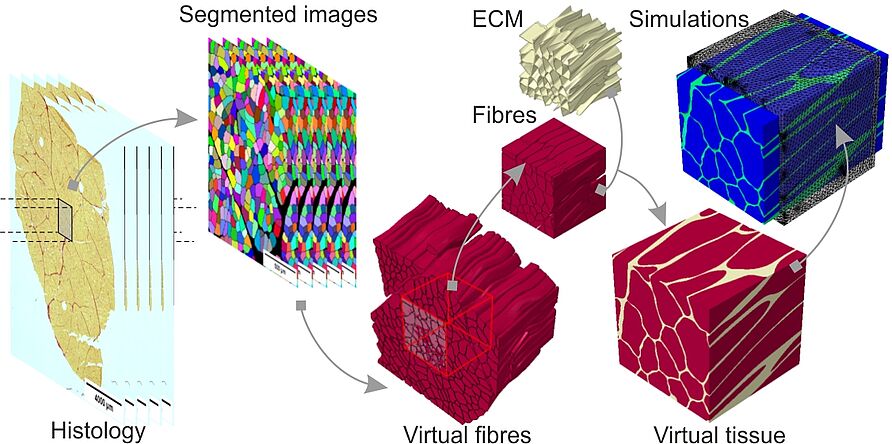 3D Finite Elements