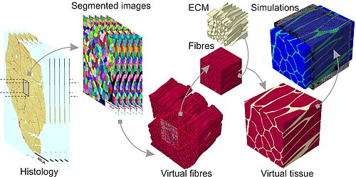 3D Finite Elements