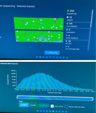 Monitoring ONT sequencing (MinKNOW)